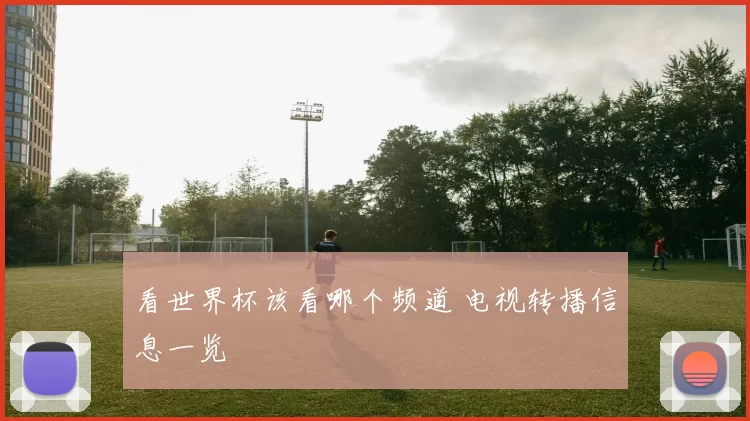 看世界杯该看哪个频道 电视转播信息一览
