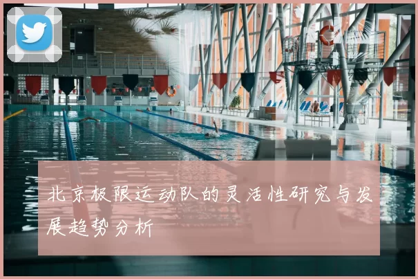 北京极限运动队的灵活性研究与发展趋势分析
