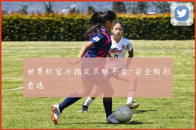 世界杯官方指定买球平台-安全购彩首选