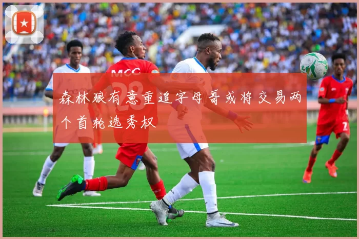 森林狼有意重追字母哥或将交易两个首轮选秀权