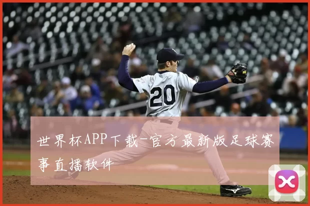 世界杯APP下载-官方最新版足球赛事直播软件