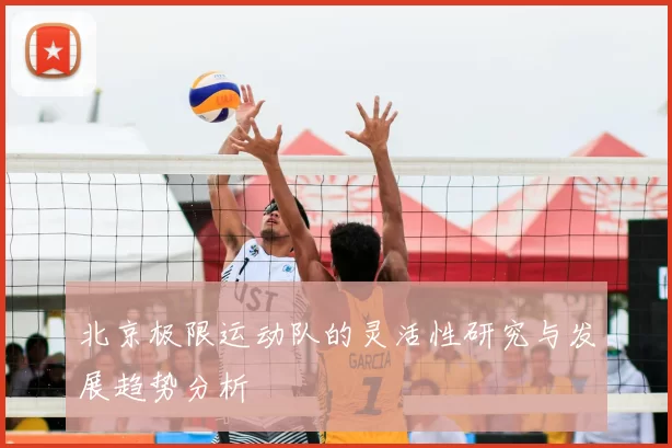 北京极限运动队的灵活性研究与发展趋势分析