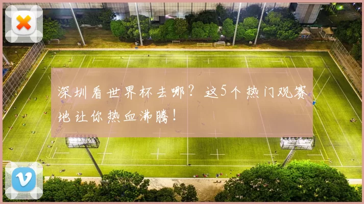 深圳看世界杯去哪？这5个热门观赛地让你热血沸腾！