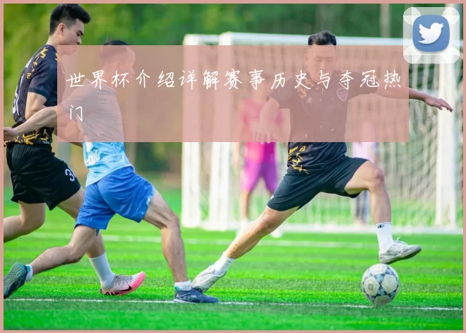 世界杯介绍详解赛事历史与夺冠热门