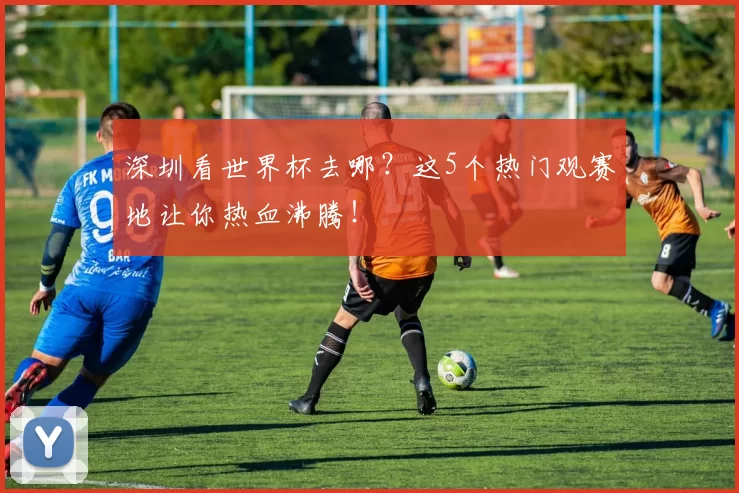 深圳看世界杯去哪?这5个热门观赛地让你热血沸腾!