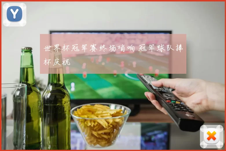 世界杯冠军赛终场哨响 冠军球队捧杯庆祝