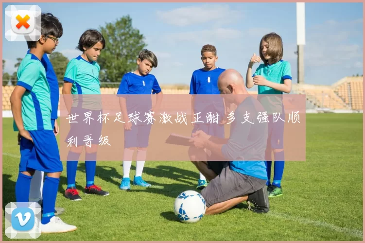 世界杯足球赛激战正酣 多支强队顺利晋级