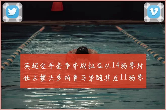 英超金手套争夺战拉亚以14场零封独占鳌头多纳鲁马紧随其后11场零封