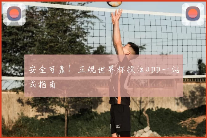 安全可靠!正规世界杯投注app一站式指南