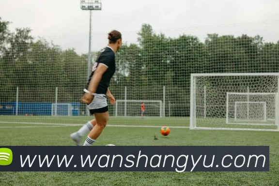 九游体育品牌故事